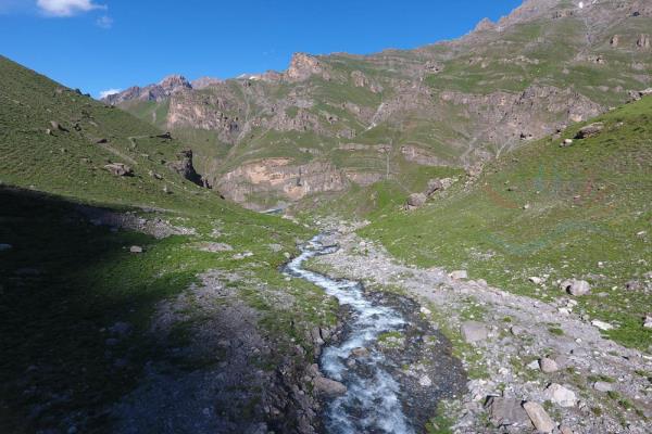 Çiçek Vadisi Zozenêt Çiçekê (1)