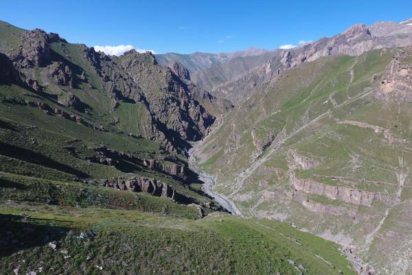 Çiçek Vadisi Zozenêt Çiçekê (15)