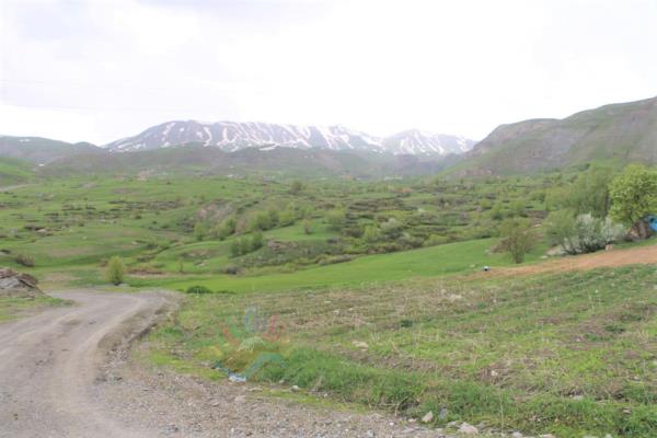 Pınarca Köyü Gundê Baleka (14)