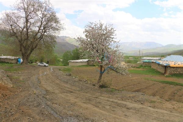 Pınarca Köyü Gundê Baleka (5)