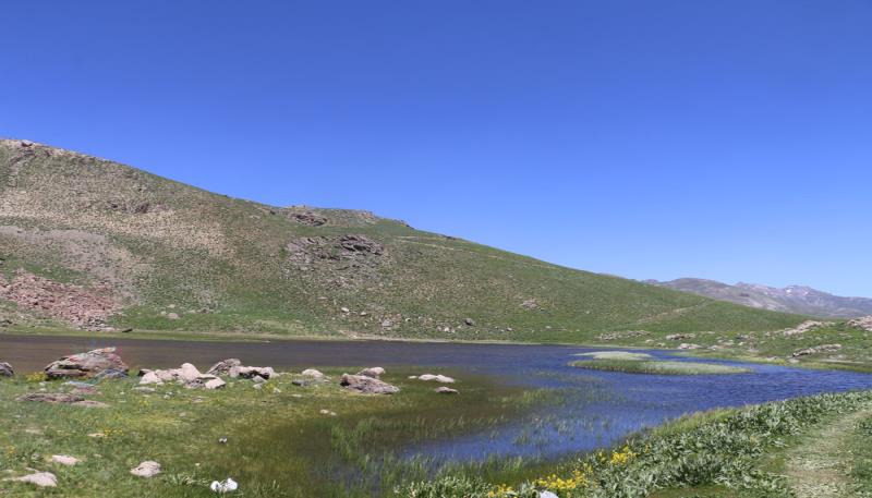 Berwar Bölgesi Xerdalanıs Gölü (16)