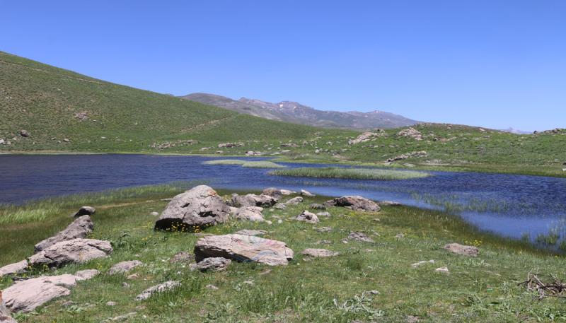 Berwar Bölgesi Xerdalanıs Gölü (9)