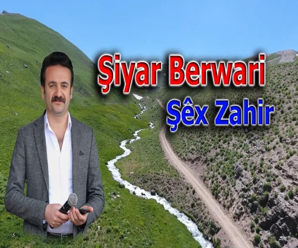 Şiyar Berwari - Şêx Zahir - سير برواري - شيخ زاهر 💐