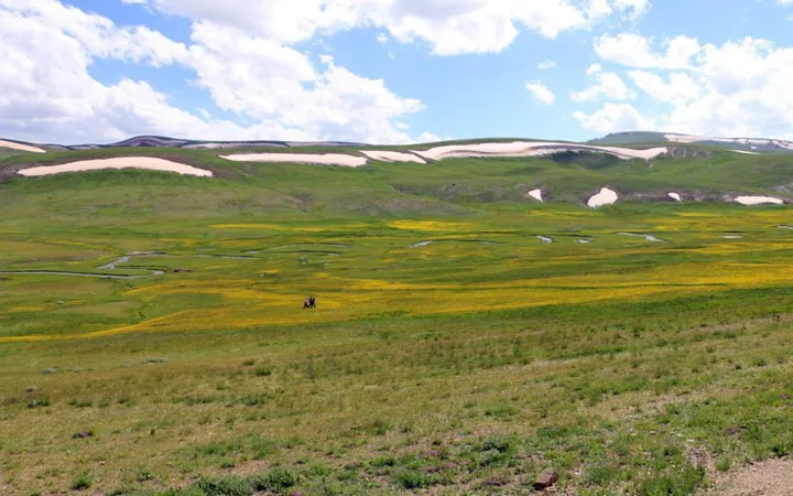 Nebirnav / Zozana Nebirnavê