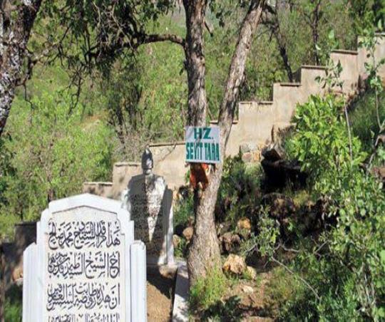 Seyit Taha Hekkari Mezarlığı / Goristana Seyîd Tehayê Hekkarî