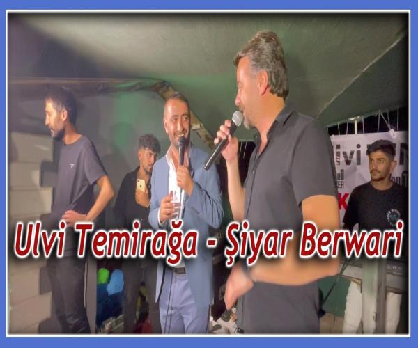 Şiyar Berwari - Ulvi Temirağa Turgut Ailesi Kına Gecesi [ 2022 © ]