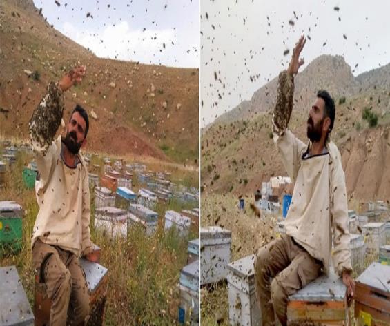 Hakkâri’de Arılara fısıldayan adam
