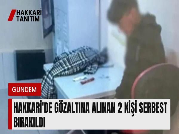 Hakkari'de gözaltına alınan 2 kişi serbest bırakıldı