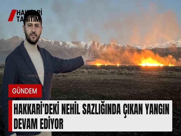 Hakkari'deki Nehil Sazlığında Çıkan Yangın Devam Ediyor