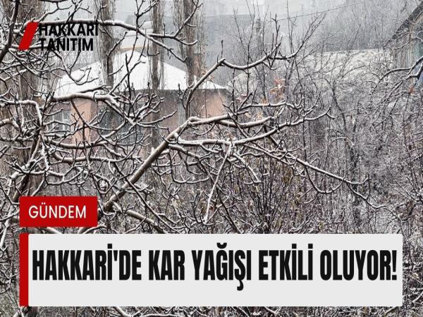 Hakkari'de kar yağışı etkili oluyor!