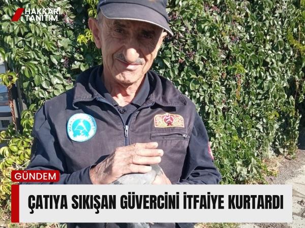 Çatıya sıkışan güvercini itfaiye kurtardı